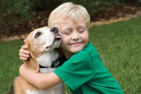 dog tongue flick and crescent eyes while being hugged